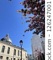 Spring streets of Paris 126247001