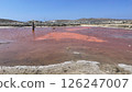 Pink Pool in Delos 126247007
