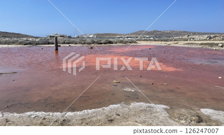 Pink Pool in Delos 126247007