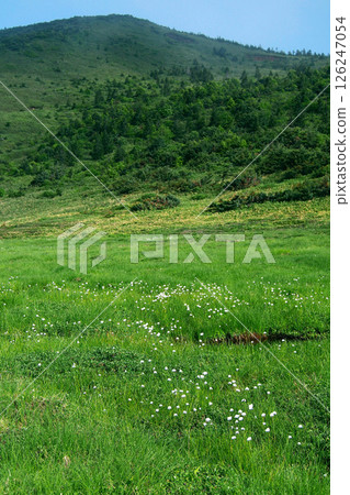 A high moor that spreads across the highlands of the Fukushima mountains A high moor that spreads across the highlands of the Fukushima mountains 126247054