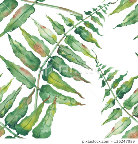 Watercolor fern leaves on a white background. Seamless pattern for decoration in forest and botanical themes. Botanical illustration of the green leaves of a forest plant. 126247089