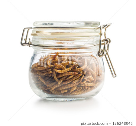 Dried salted worms. Roasted mealworms in jar isolated on white background. 126248045
