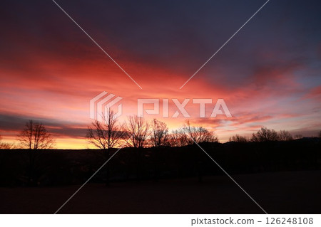 Beautiful sunset with a pink sky and trees in the background 126248108
