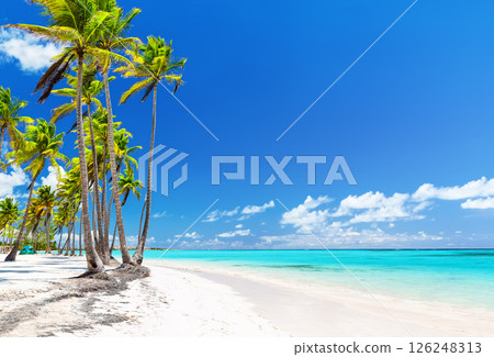Bounty white sandy shore with coconut palm trees, caribbean sea washes tropical beach in Cap Cana, Dominican Republic. 126248313