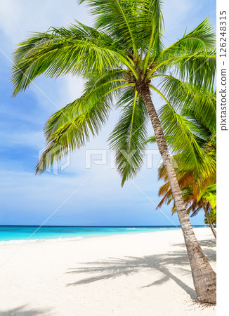 Exotic white sand beach with coconut palm trees and Caribbean sea shore on Saona island in Dominican Republic. Exotic white sand beach with coconut palm trees and Caribbean sea shore on Saona island in Dominican Republic. 126248315