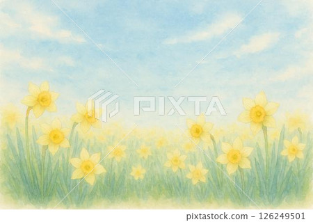 Daffodil flowers and blue sky 126249501