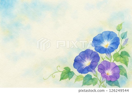 Morning glory 126249544