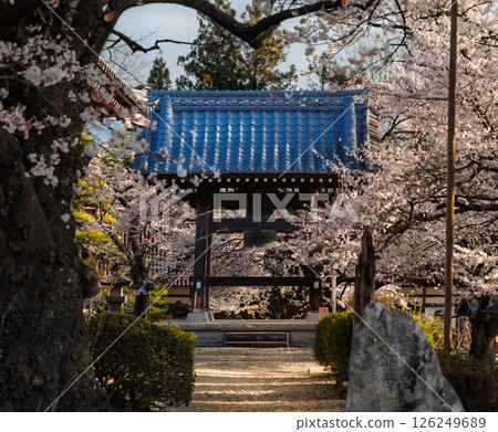 Traditional Bell Tower with Tiled Roof on Historic Temple Grounds in Yamanashi, Japan 126249689