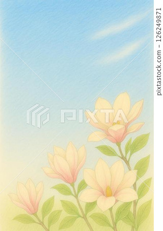 明信片木蘭 126249871