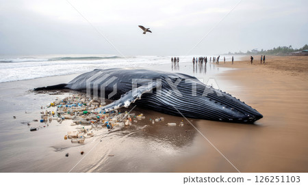 A panoramic image of a stranded sperm whale.. Ocean plastic pollution is an environmental issue. A global problem, threatening ocean wildlife and calling for urgent action to protect the environment. 126251103