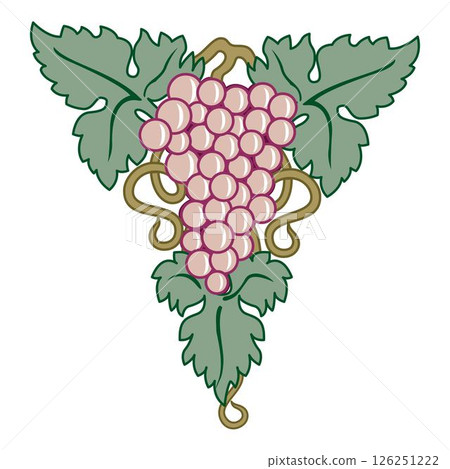 Grape vine or grape branch decorative elements, vector set. Isolated hanging grape twigs with green and purple berries. Framing or decor for banner design 126251222