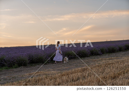 A woman is walking her dog in a field of lavender A woman is walking her dog in a field of lavender 126251550