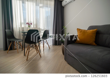 Apartment Interior Design Modern Furniture, Cozy Living Room, Daytime Relaxation 126251603