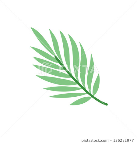 Tropical Palm Leaf Illustration Cute Hand Drawn Green Foliage Clipart 126251977