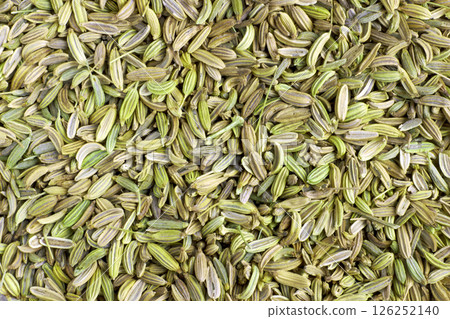 dried fennel background top view dried fennel background top view 126252140