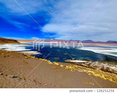 Bolivia lake Laguna Colorada. 126252258