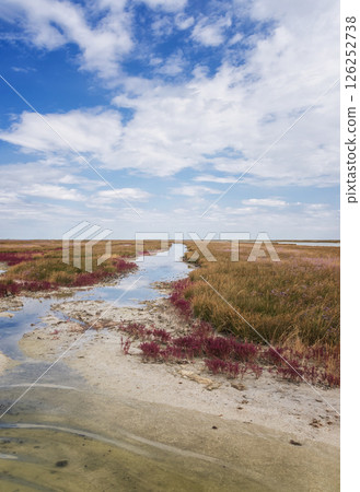 picturesque meadows and swamps of the island of Dzhagarych 126252738