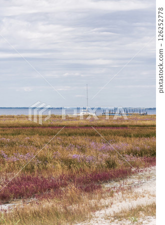 Picturesque sea coast on the island with white sand 126252778