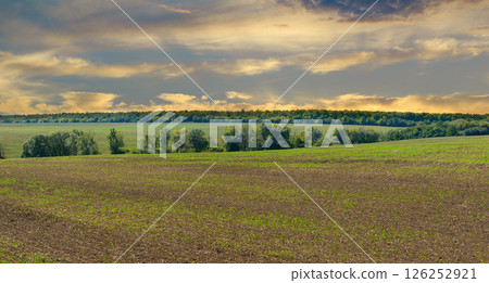 Landscape with field and clouds in the sky,sunset over the field. Sunny evening, beautiful field with a ground. 126252921