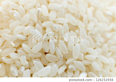 Close-up macro shot of white polished rice in shallow depth of field. Macro raw grain in soft focus 126252938