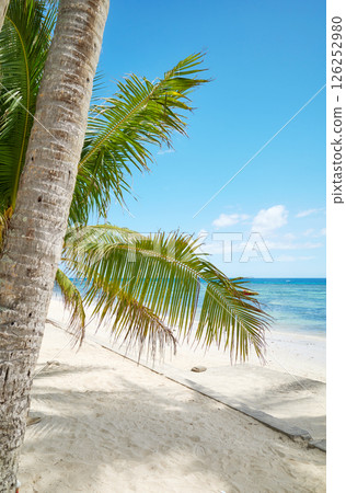 Tropical beach with palm tree and turquoise sea, perfect summer vacation concept. Tropical beach with palm tree and turquoise sea, perfect summer vacation concept. 126252980