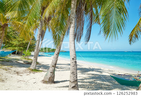 Tropical beach with palm trees and turquoise sea, perfect summer vacation concept. Tropical beach with palm trees and turquoise sea, perfect summer vacation concept. 126252983
