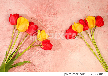 Bouquet with beautiful spring blooming tulips.Abstract flower arrangement on pink concrete background,Floral holiday card with summer greeting concept,screen banner.Still life. Bouquet with beautiful spring blooming tulips.Abstract flower arrangement on pink concrete background,Floral holiday card with summer greeting concept,screen banner.Still life. 126253043