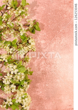 Abstract floral arrangement with beautiful spring cherry blossom branches on concrete sunny background. Still life with space for text, Floral holiday card with summer greeting concept, banner 126253046