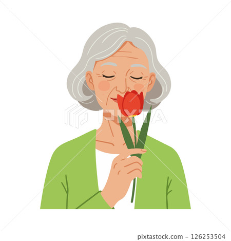 Elderly woman smelling red tulip flower in green cardigan vector illustration Elderly woman smelling red tulip flower in green cardigan vector illustration 126253504