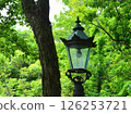 Lantern in the forest 126253721