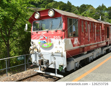 Oigawa Railway train stopping at a station Oigawa Railway train stopping at a station 126253726