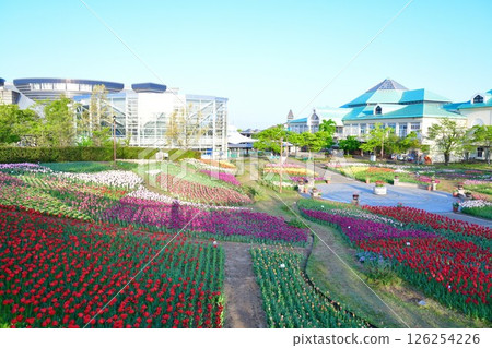 Tulips at Niigata Furusato Village (Niigata Prefecture) Tulips at Niigata Furusato Village (Niigata Prefecture) 126254226