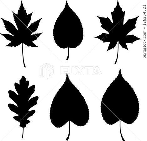 Collection of Various Black Leaf Silhouettes Vector Illustration for Nature Design Elements 126254321
