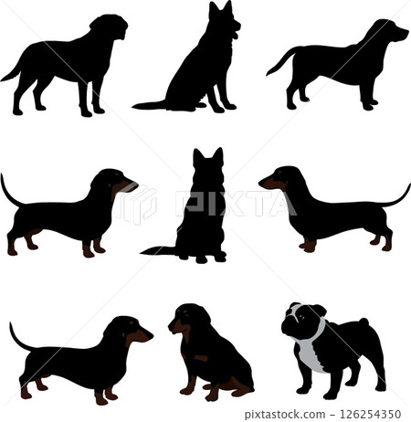 Collection of dog silhouettes and colored dachshund and bulldog vector illustration 126254350