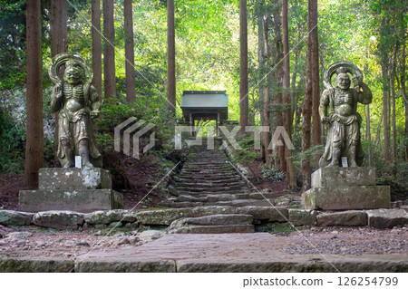 Bokoji Temple Nioh的雕像 Bokoji Temple Nioh的雕像 126254799