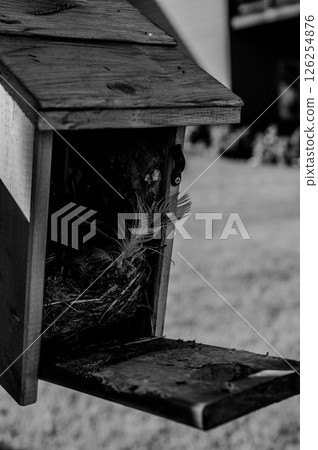 Open bird house with an empty nest of feathers and straw after eggs have hatched and young have left. Open bird house with an empty nest of feathers and straw after eggs have hatched and young have left. 126254876