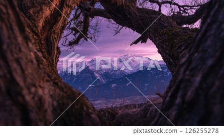 Scenic view of snow-capped mountains through tree trunk at twilight. 126255278