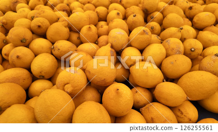 Fresh lemons piled high at a vibrant market in sunny daylight 126255561