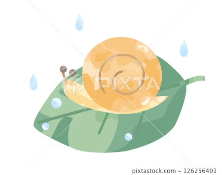 葉子和雨上的蝸牛插圖 葉子和雨上的蝸牛插圖 126256401