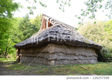 八瀨遺址的繩文時代居住與儀式遺跡 八瀨遺址的繩文時代居住與儀式遺跡 126257306