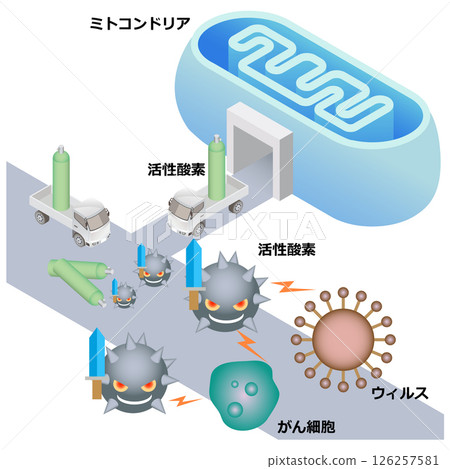 Mitochondria, reactive oxygen species, and the immune system 126257581