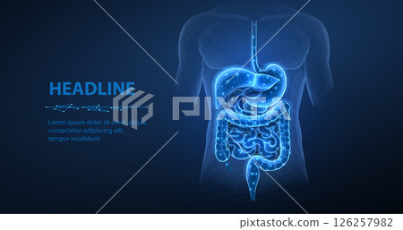 Abstract wireframe intestinal human digestive system. Gut health, bowel disease, gastrointestinal tract. Abstract wireframe intestinal human digestive system. Gut health, bowel disease, gastrointestinal tract. 126257982