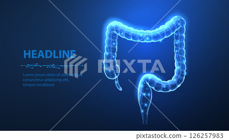 Large intestine. Gut health, bowel disease, gastrointestinal tract. Large intestine. Gut health, bowel disease, gastrointestinal tract. 126257983