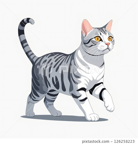 美國短毛貓緩慢行走的插圖 126258223