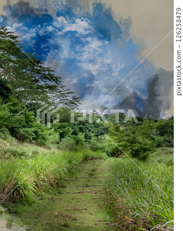 夏季神秘的山路 126258479