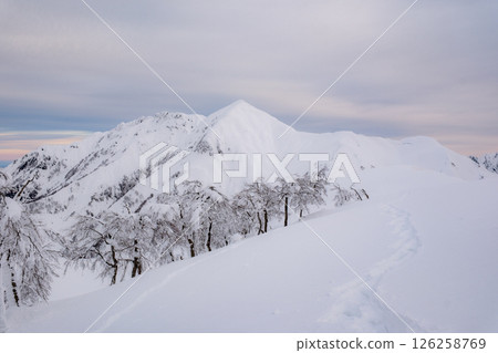 View of Winter Mountain 126258769