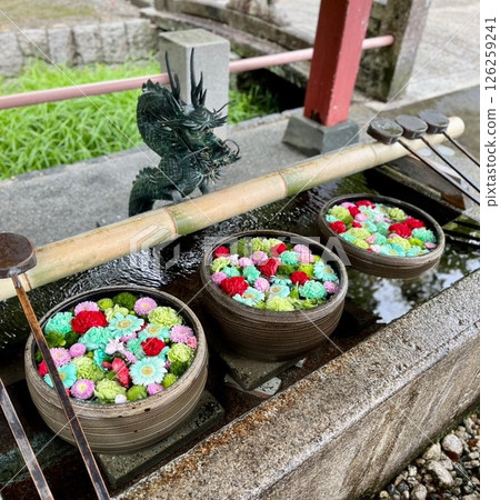 花水 花水 126259241