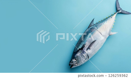 Tuna fish ocean protein healthy food, flat lay copy space background 126259362