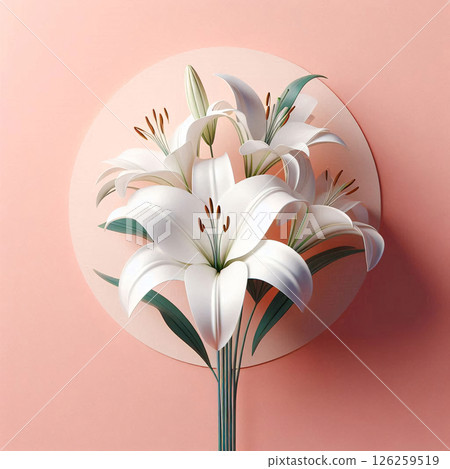 一朵純潔的百合花 一朵純潔的百合花 126259519