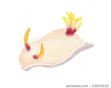 巨型海蛞蝓的水彩插圖 126259520